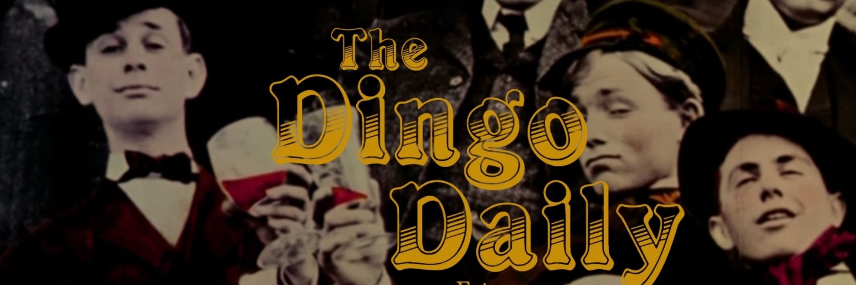 Dingo Jackson