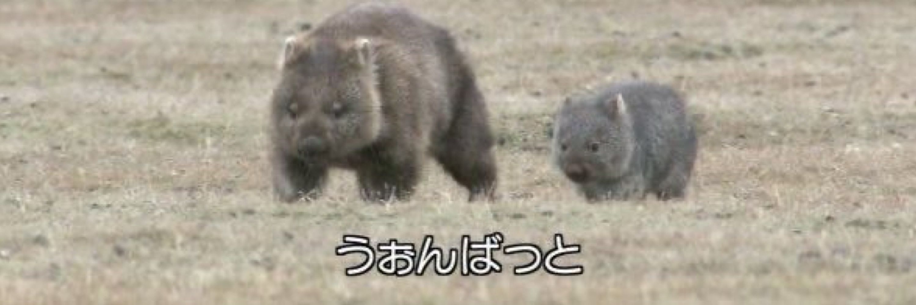 るゐ(あおぞらのすがた)