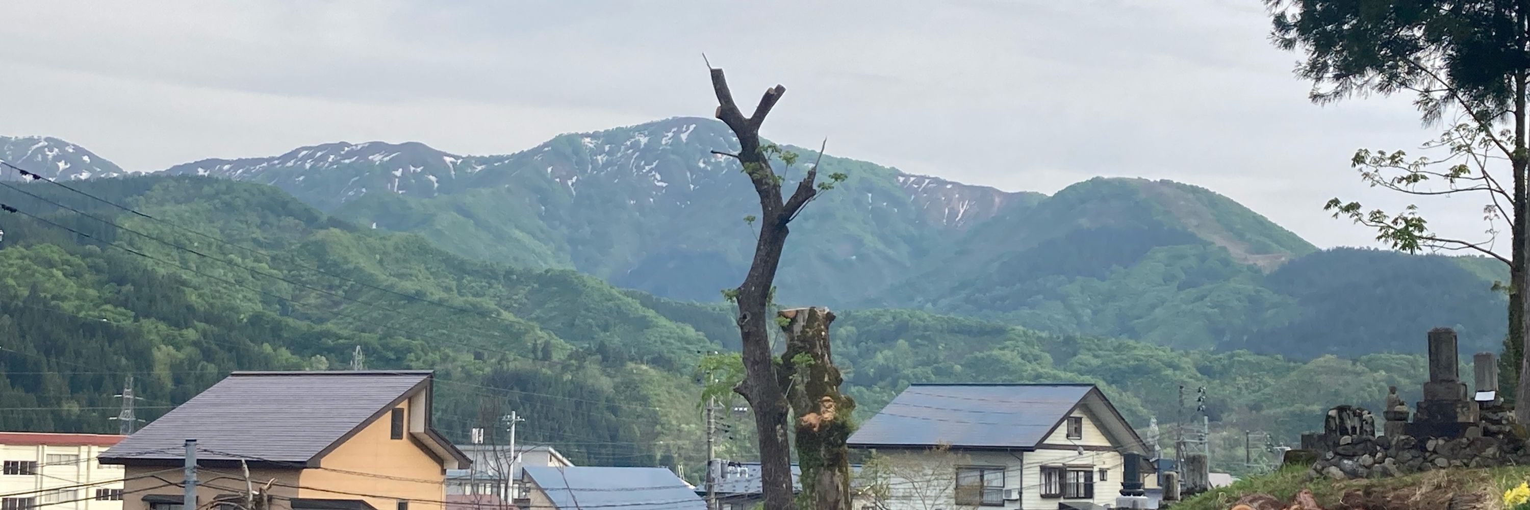 らすけ