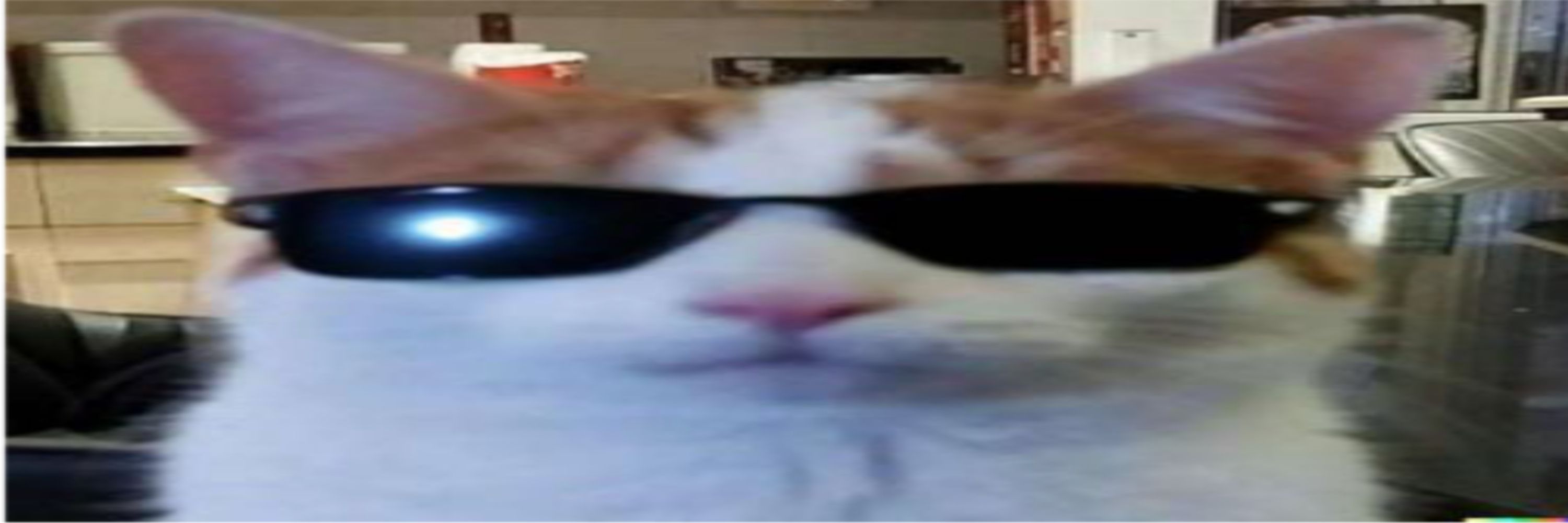 Ale