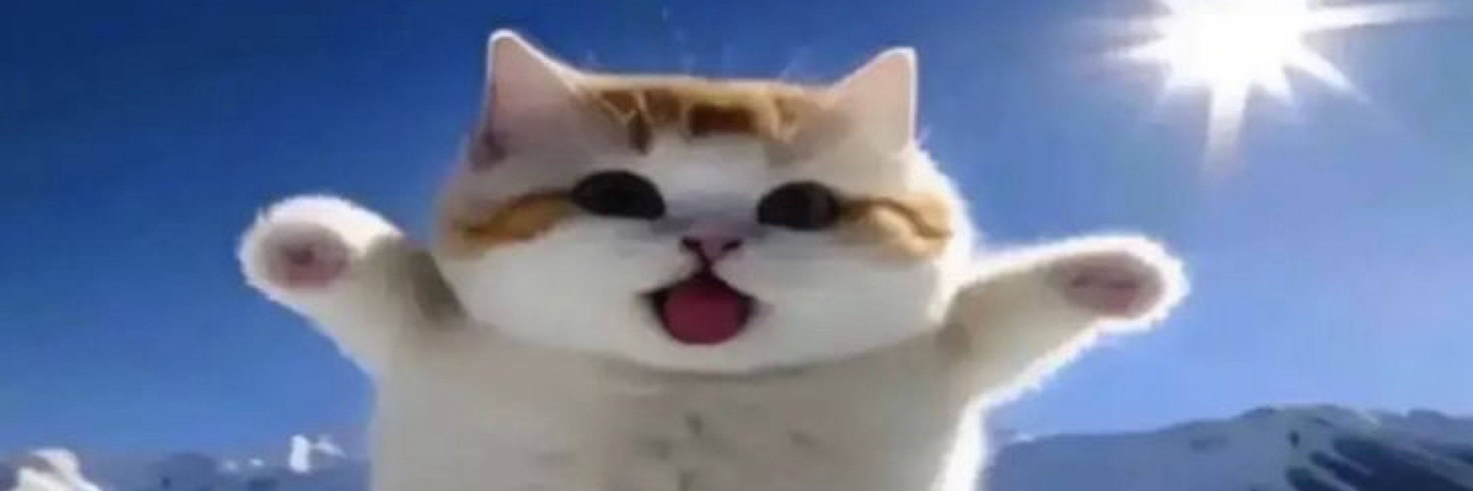 Sunny 