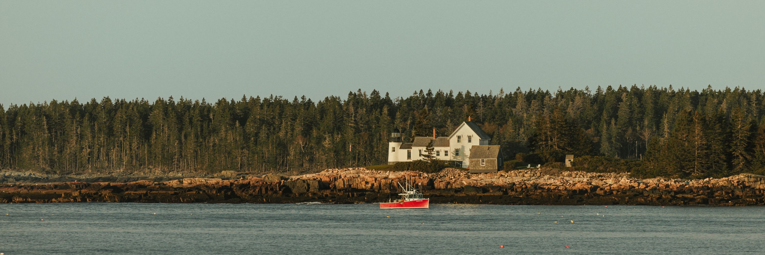 The Bearded Mainer Photography