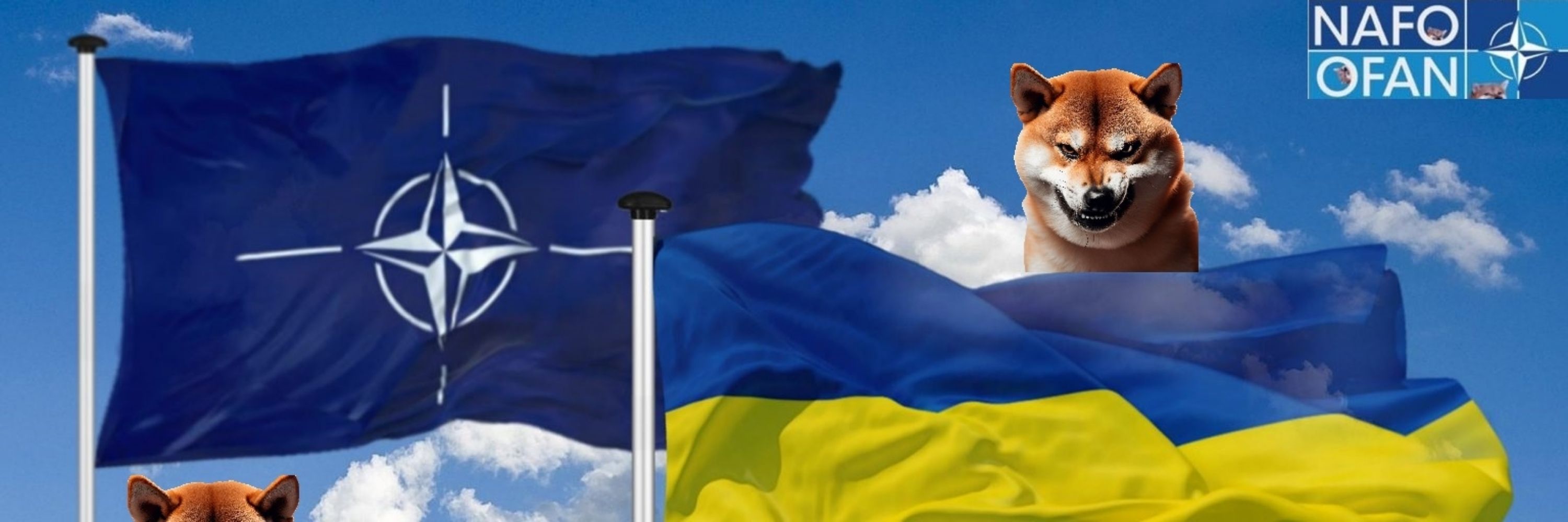 Mirko T. Fella 🇪🇺🇦🇹🇮🇹🇺🇦🏴󠁧󠁢󠁥󠁮󠁧󠁿🇬🇱🇩🇰🇨🇦🇲🇽🇵🇷🇵🇦🏳️‍🌈🏳️‍⚧