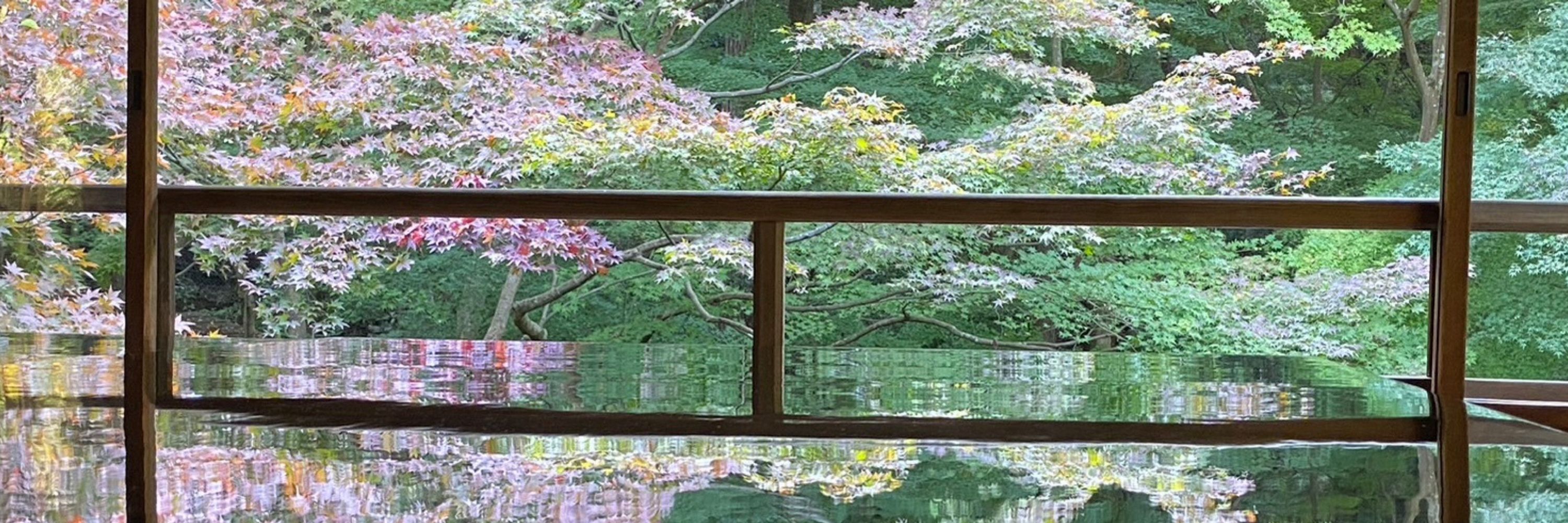 たかね
