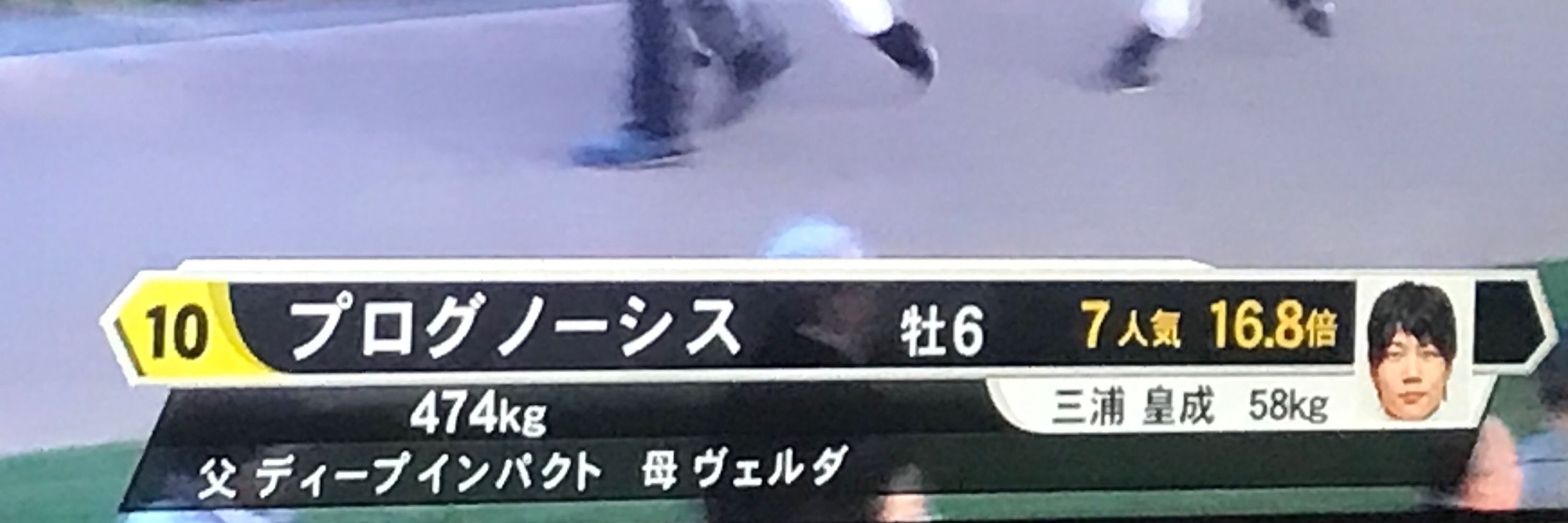 競愚ゑゐ