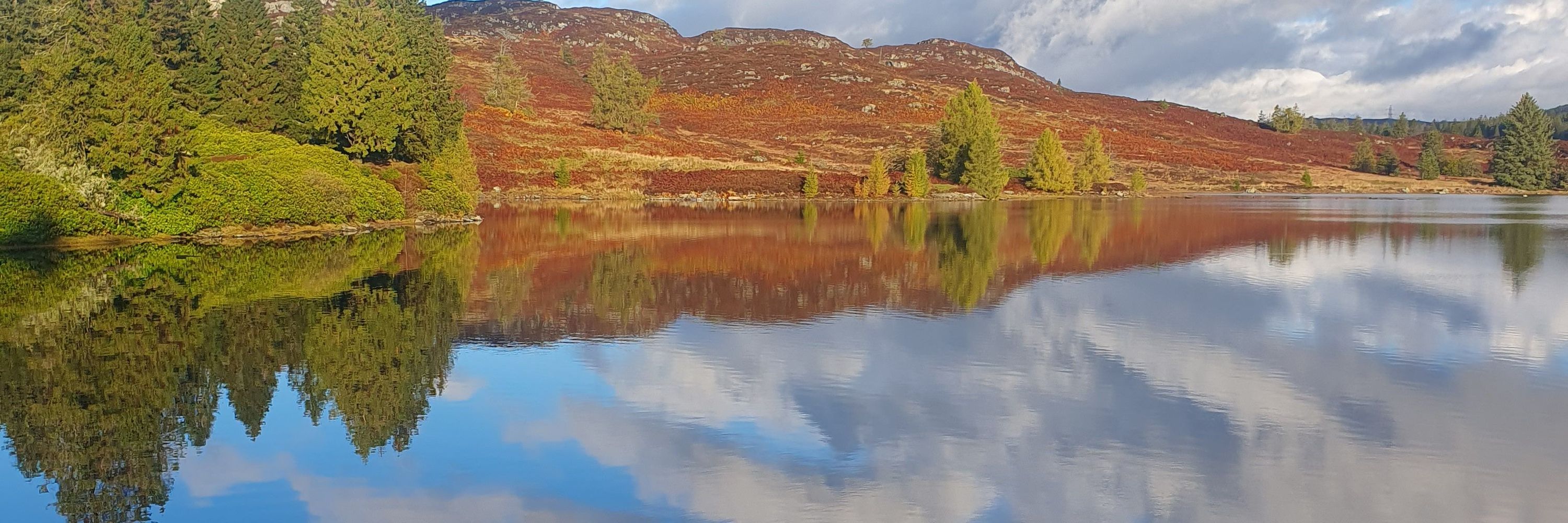 Ipsos in Scotland