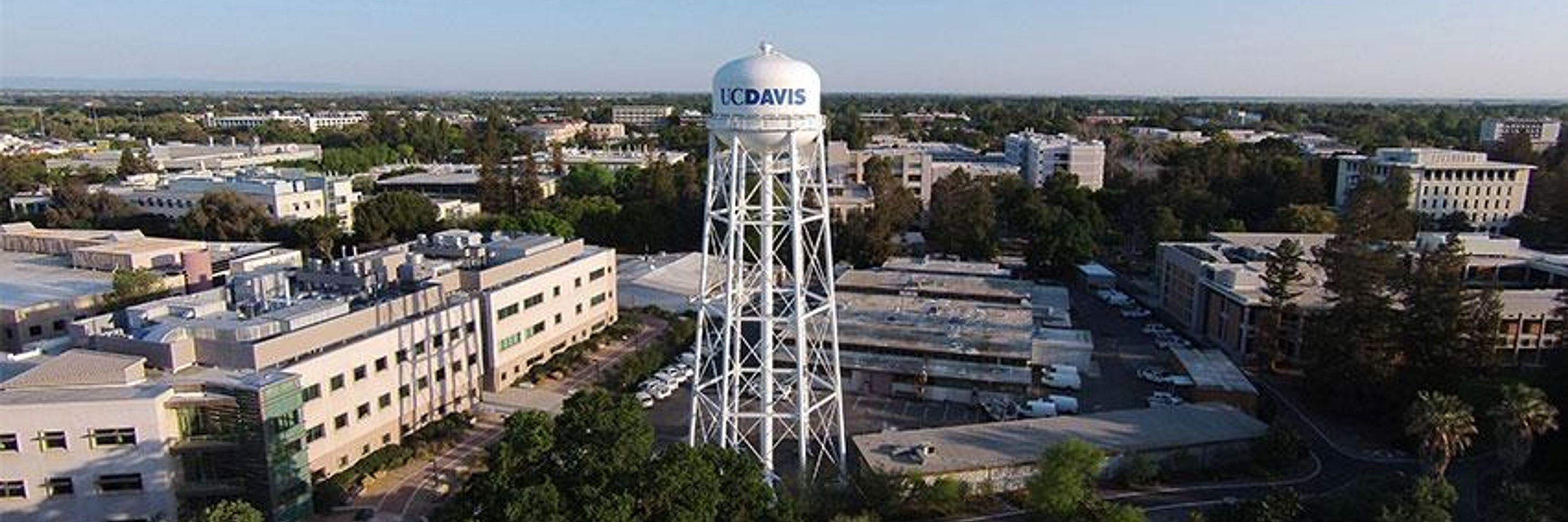 UCD Proposal Development Services