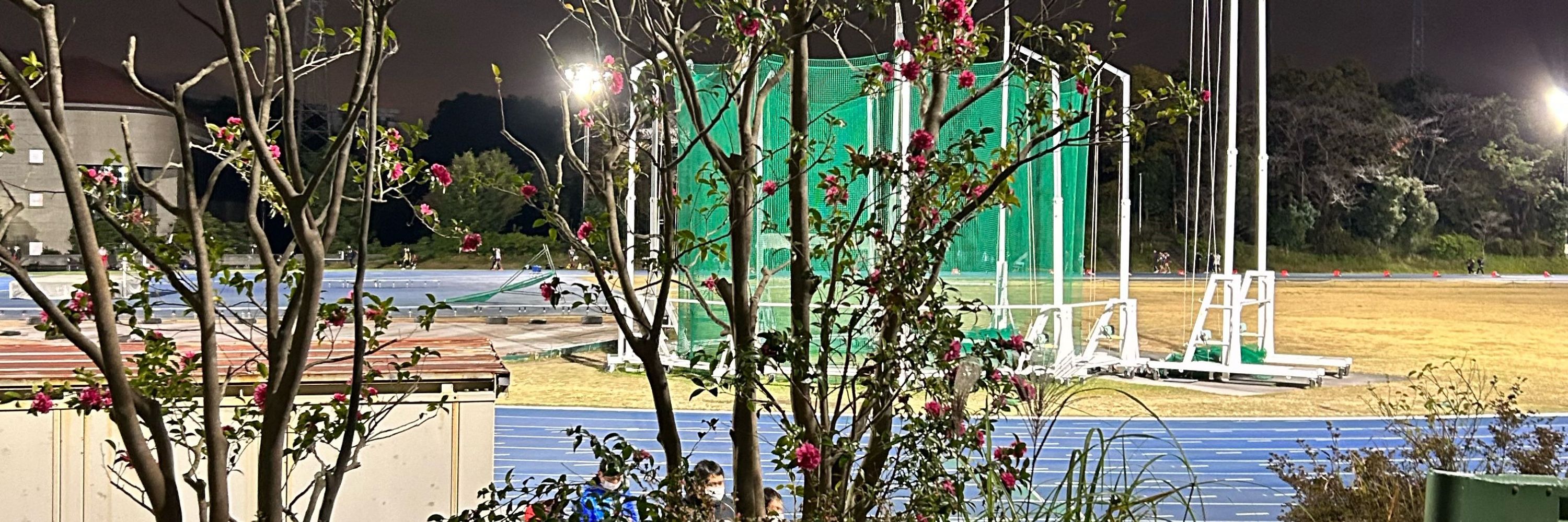 妖夢推しの法政ファン