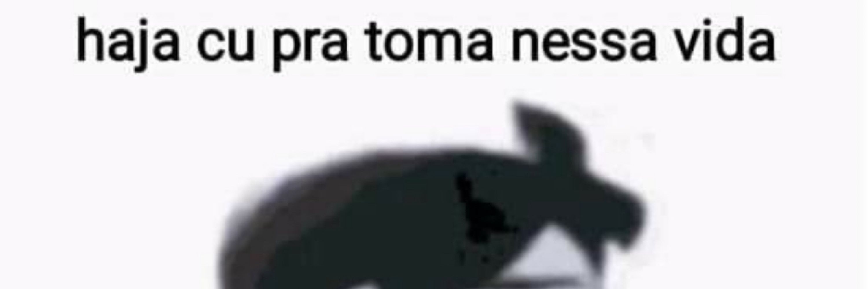Bibizz 