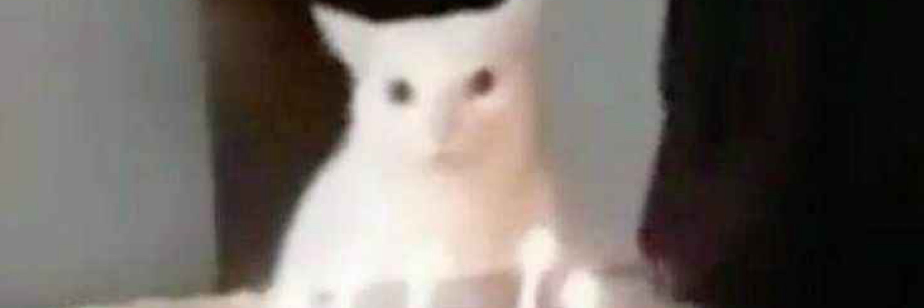 Minaaa