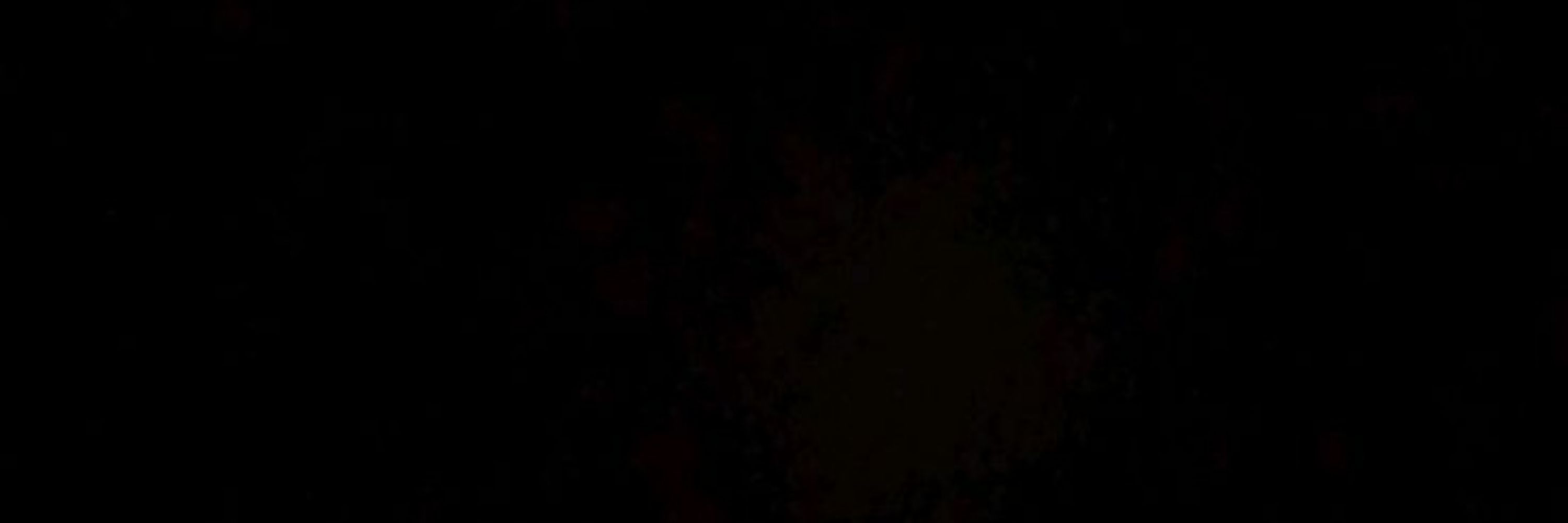 DINO.
