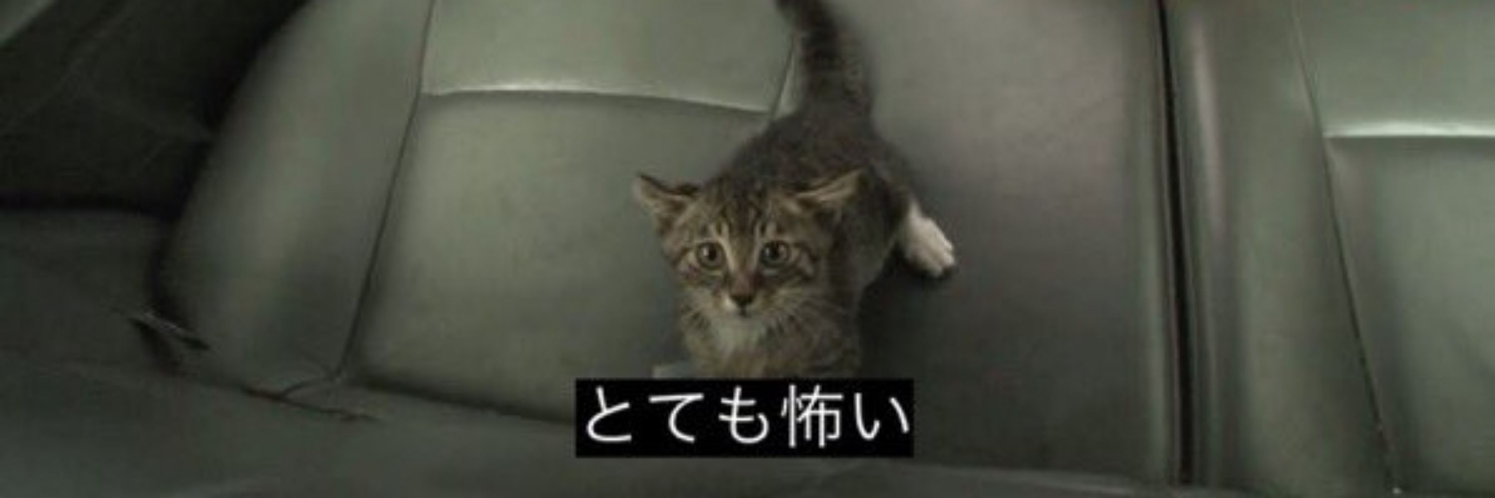 双極性障害