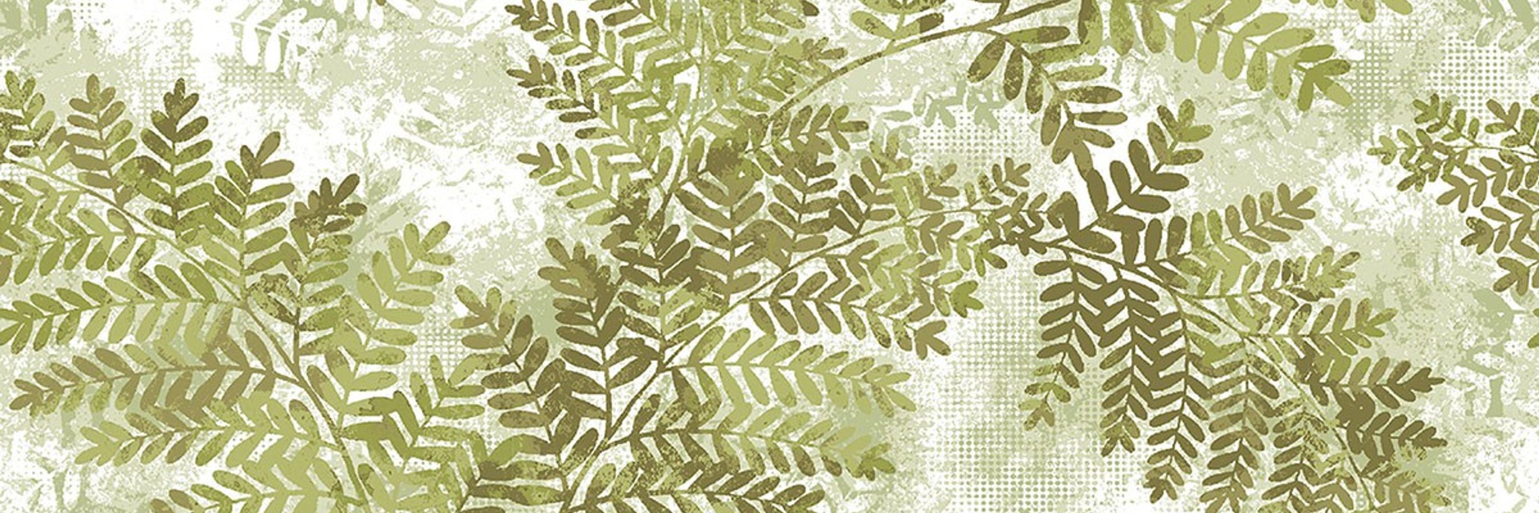 Fern Addison Montréal