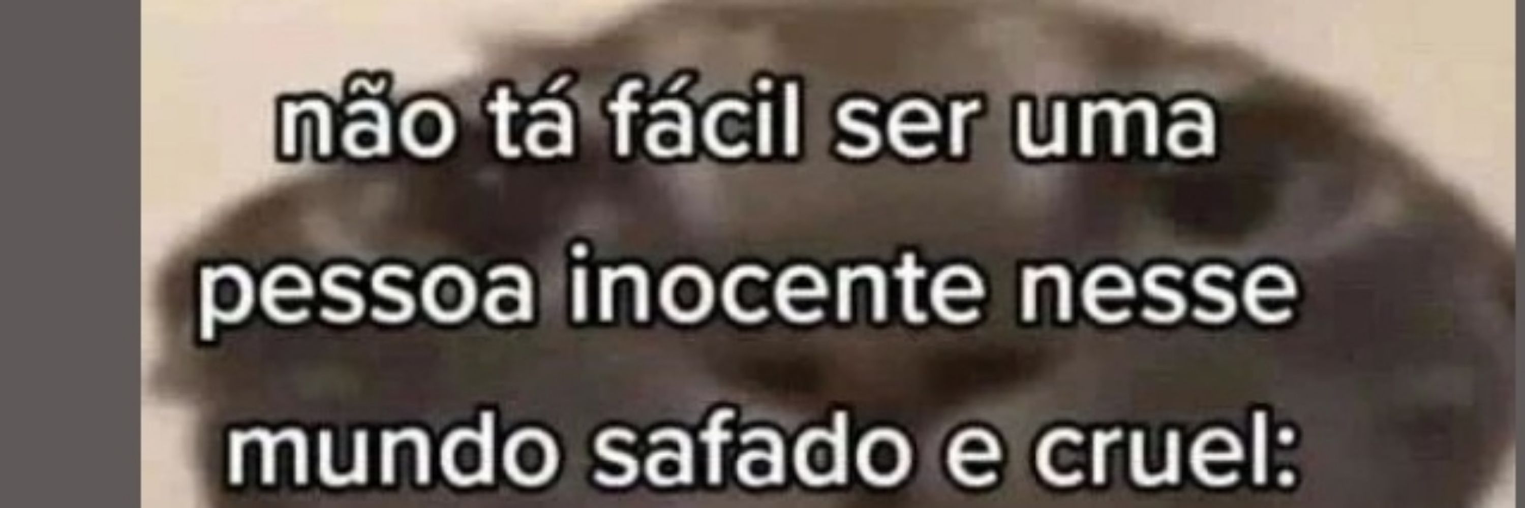 LuaTertulino 🤎