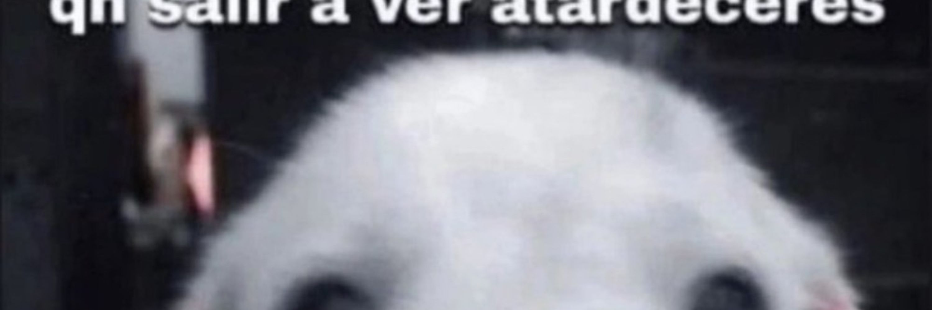 Borja Cano