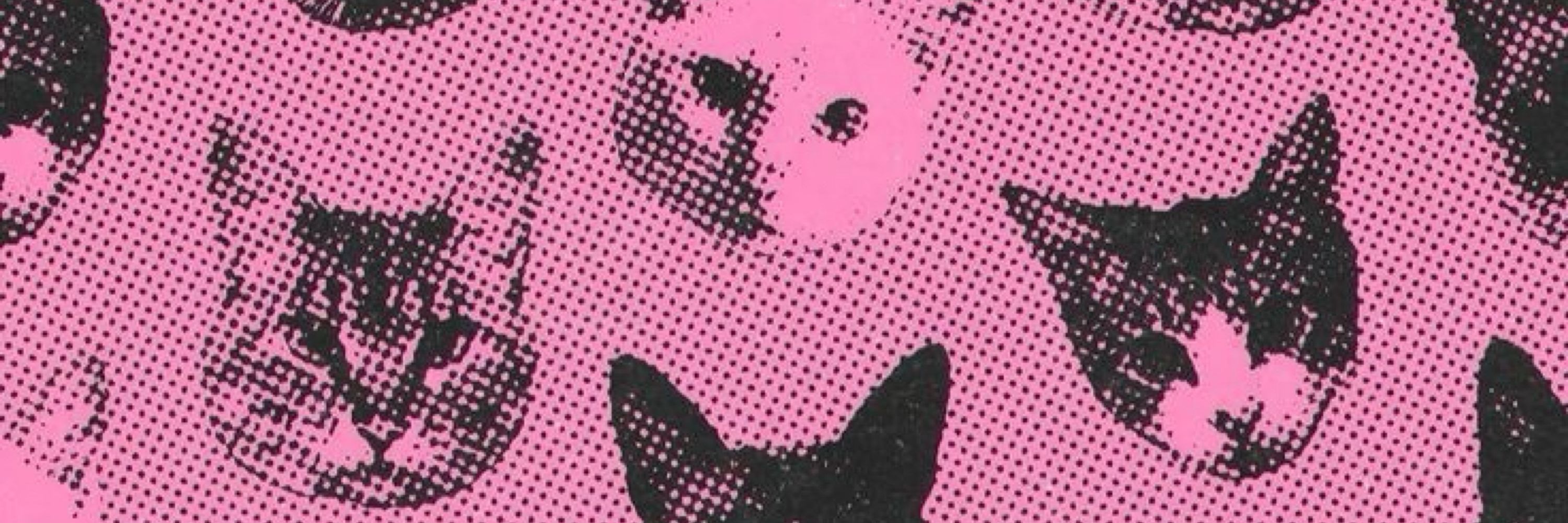 Hannah⸆⸉