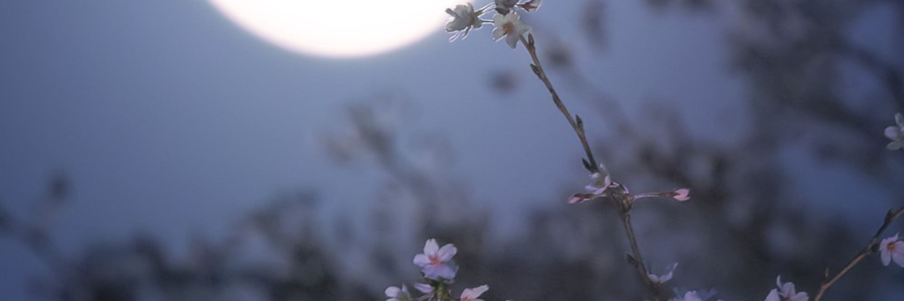 ひあ