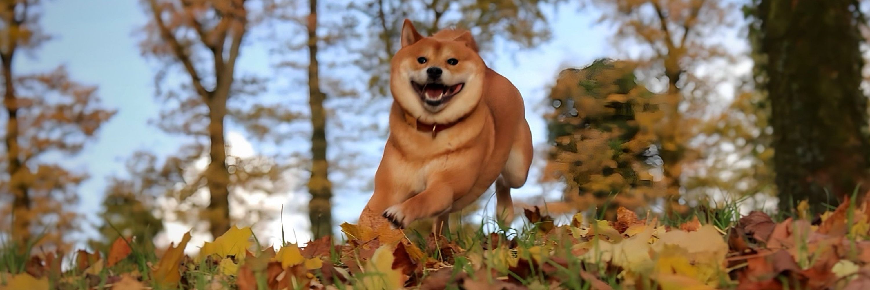ʜᴇʟs ᴠɪᴛᴇ ☾
