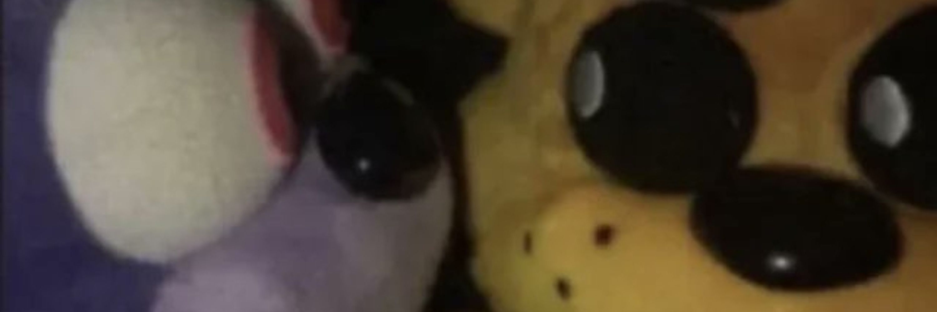 EvillzeCatto
