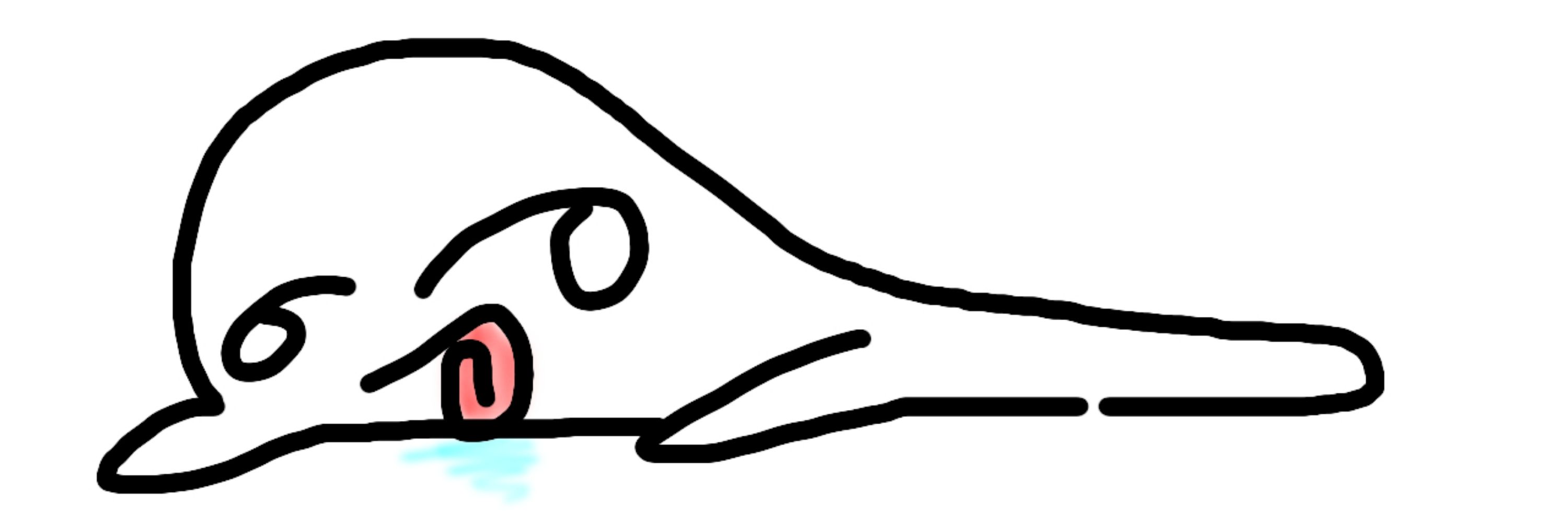 바보