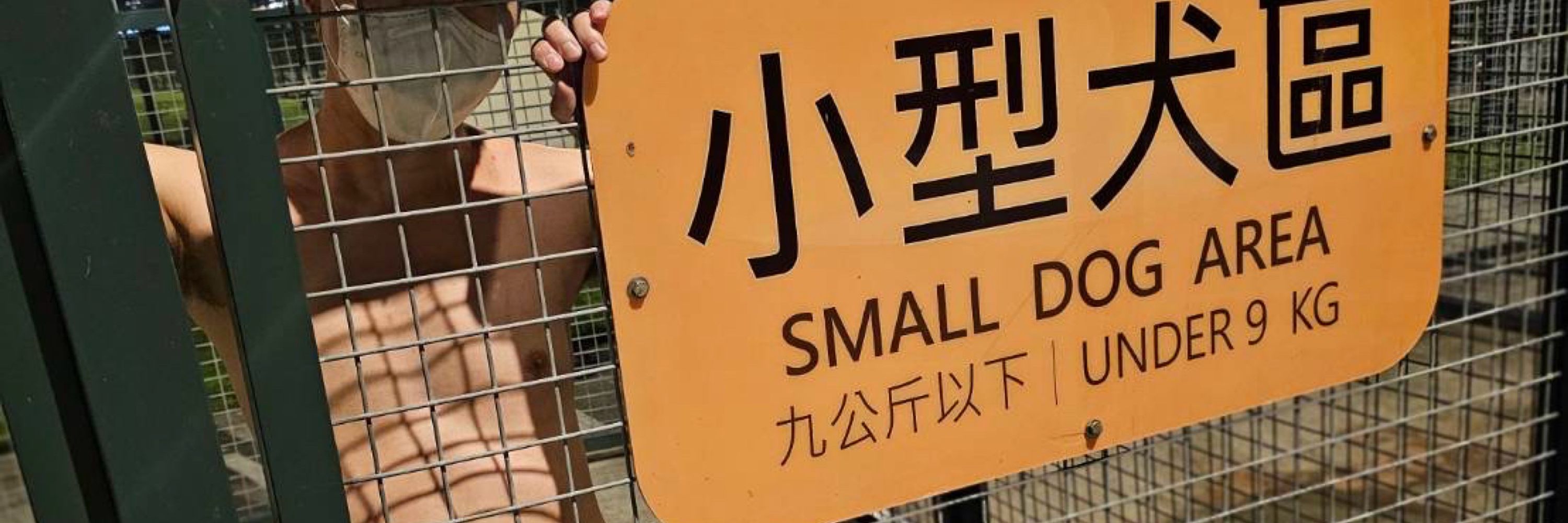 野裸粗屌小鋼砲