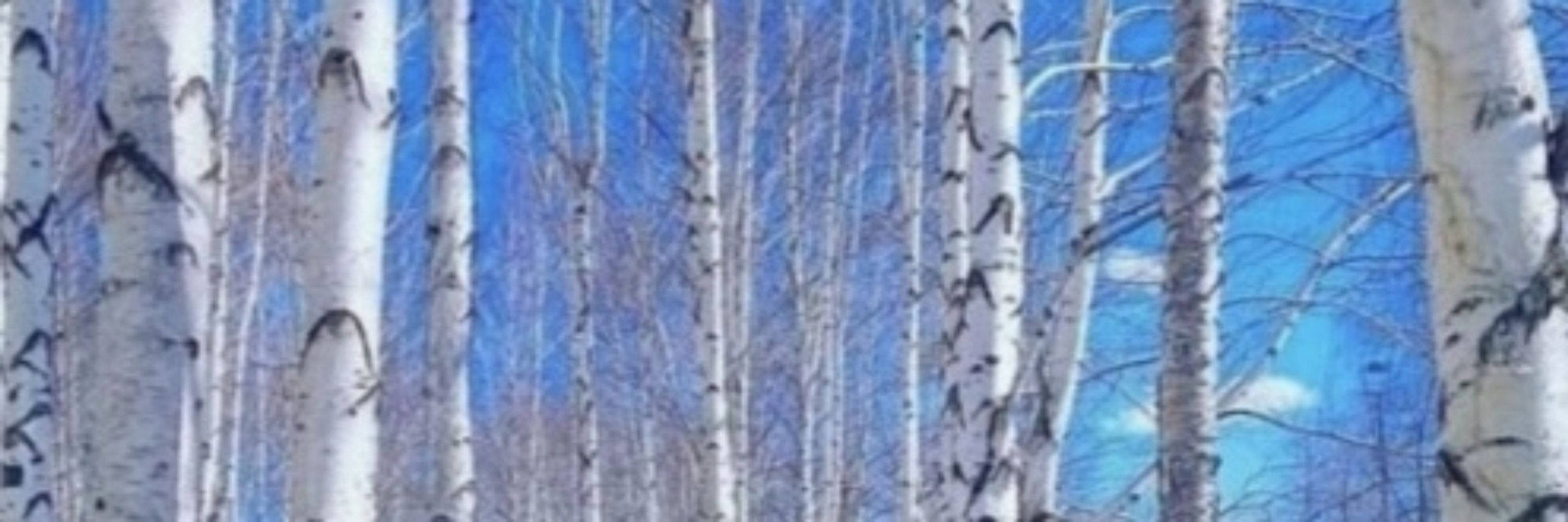 Aspen 🌳  🌒🌕🌘