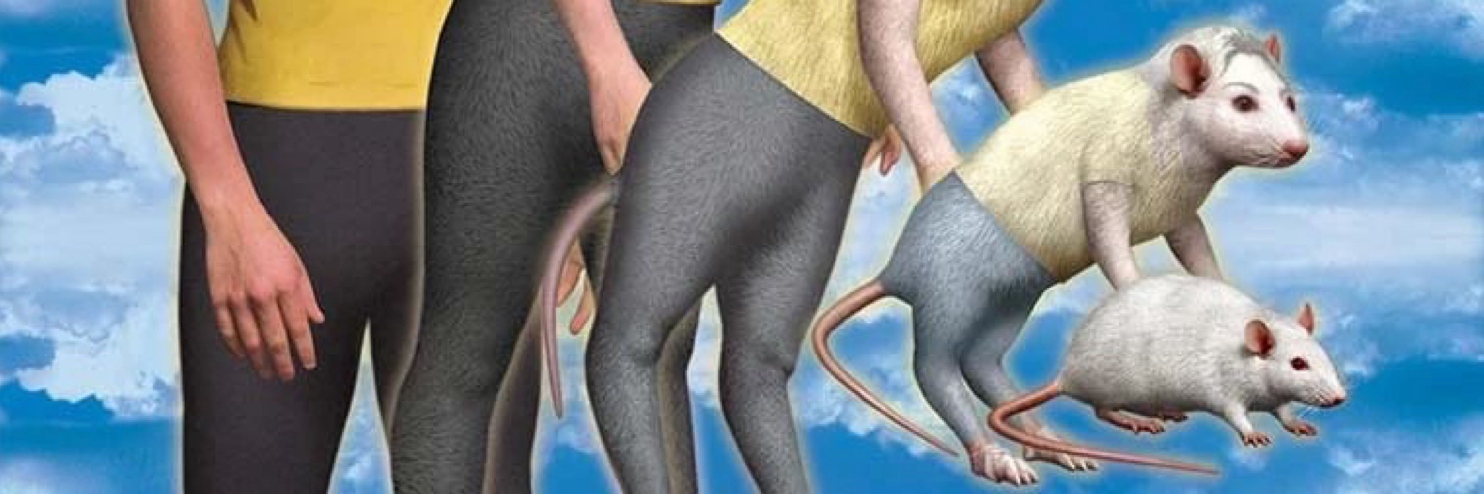 rata ratazanando