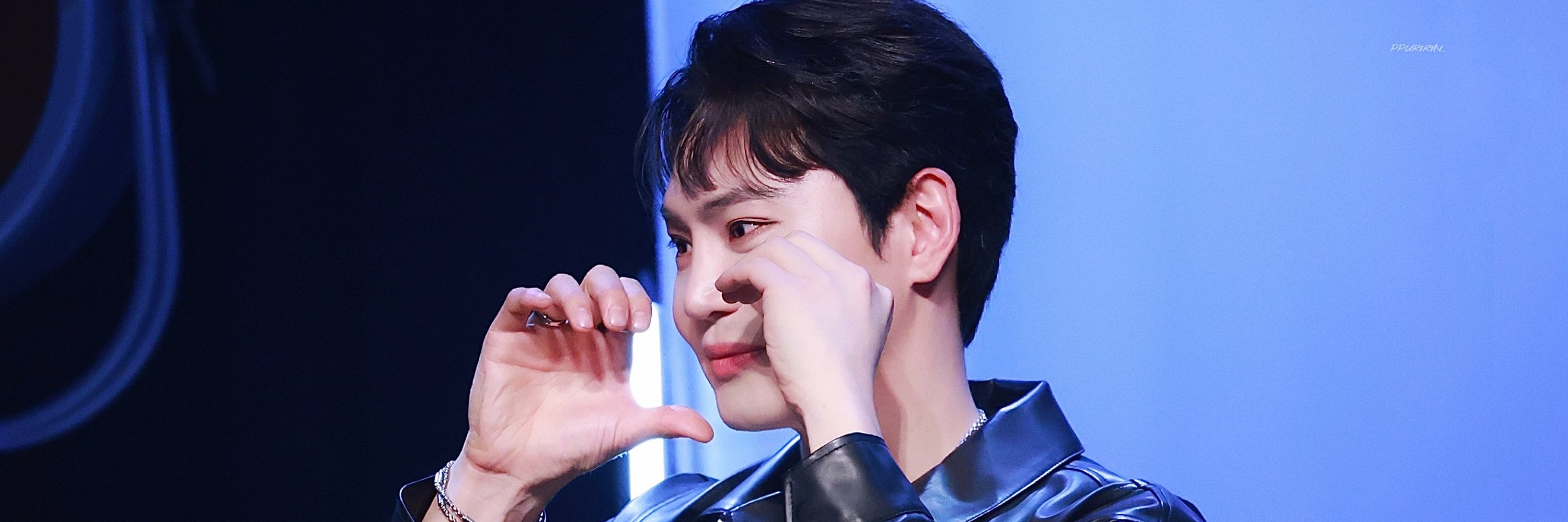 푸린