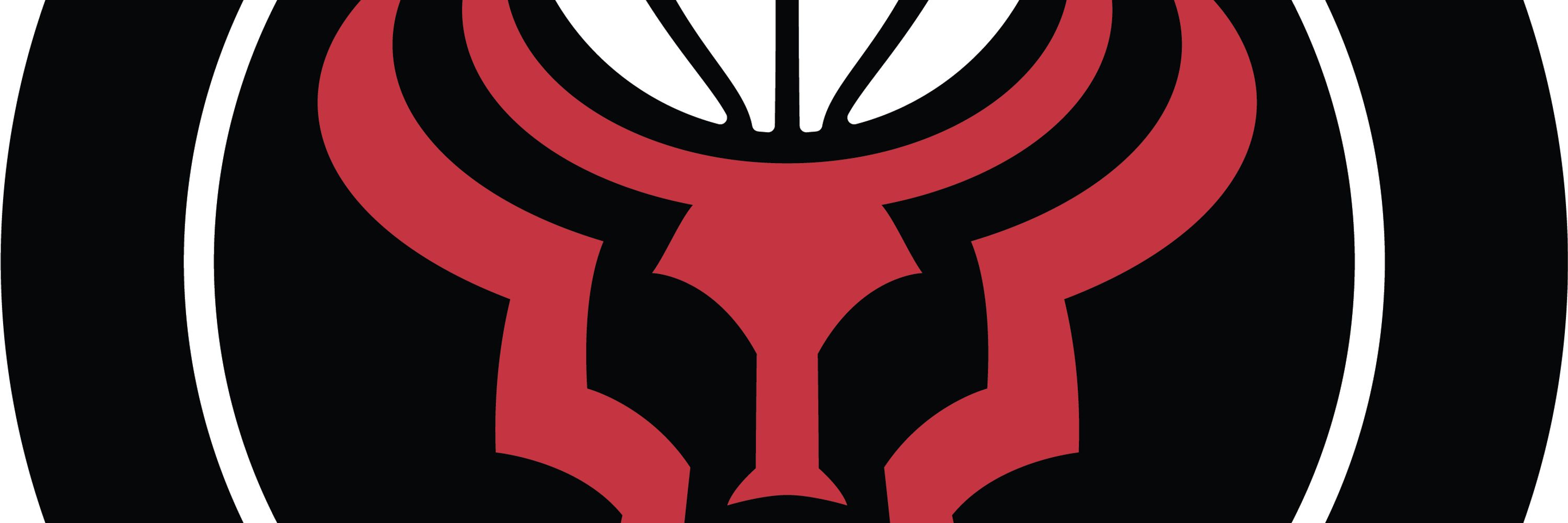 BullsBlogger