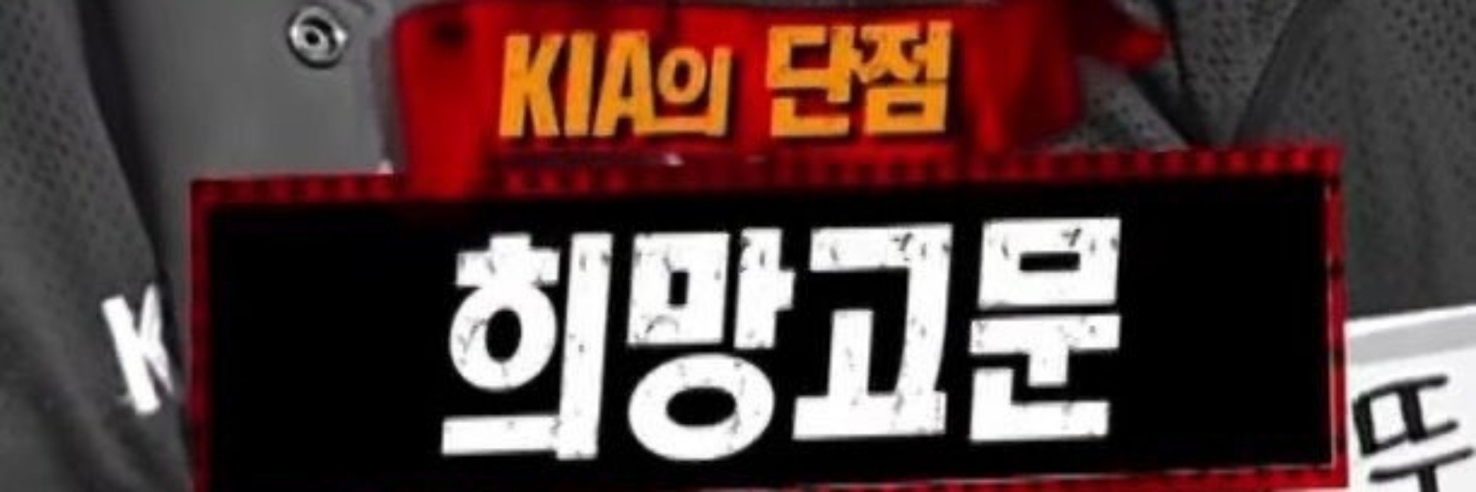 하리보
