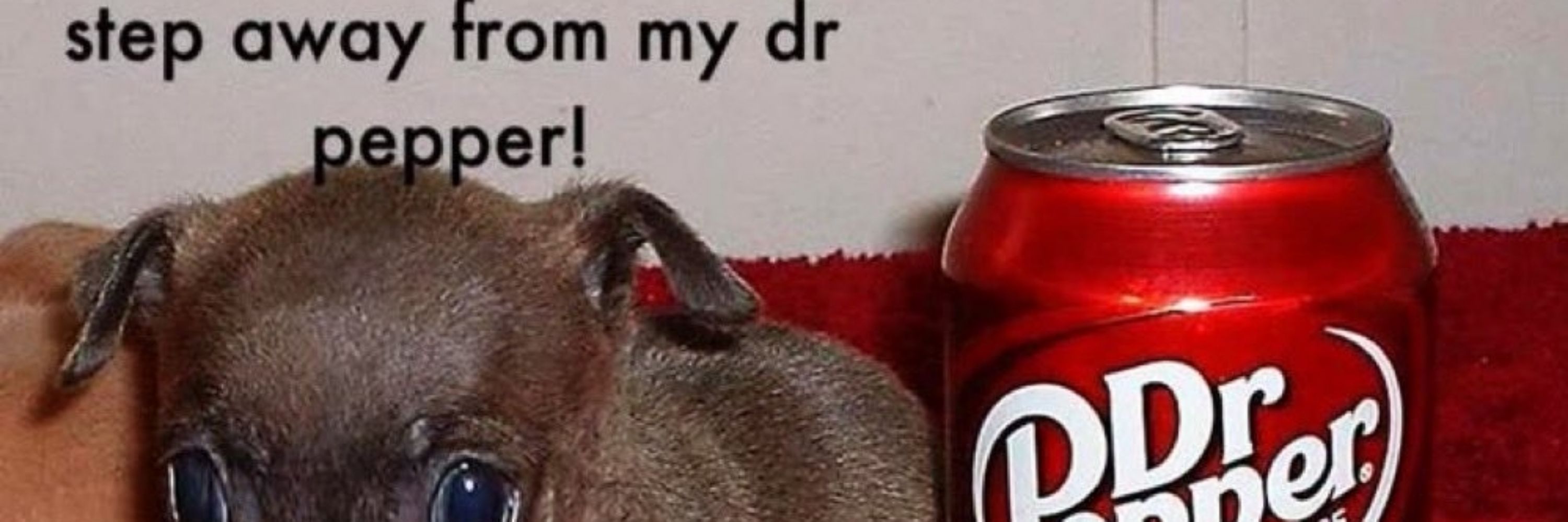 dr. pepper🖤☠️