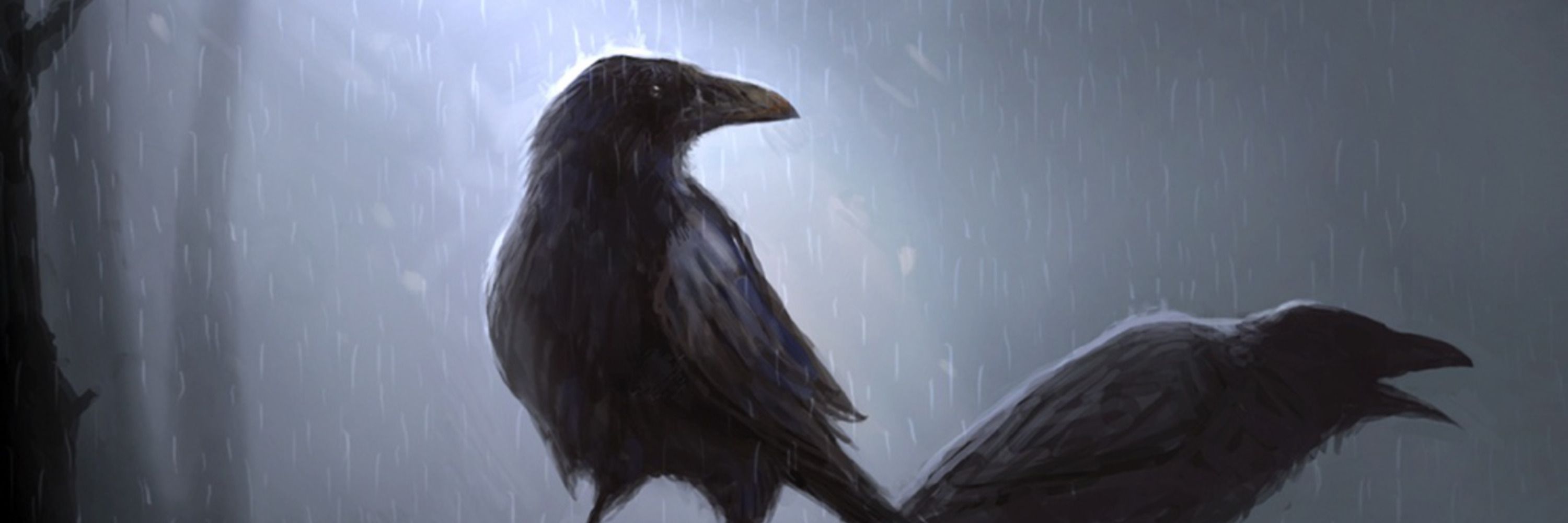 Lydia the Crow