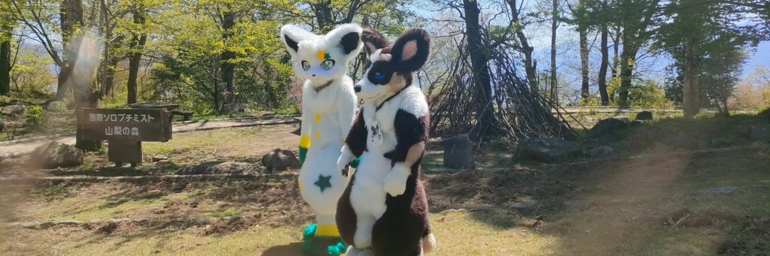 Craft Furry Friend