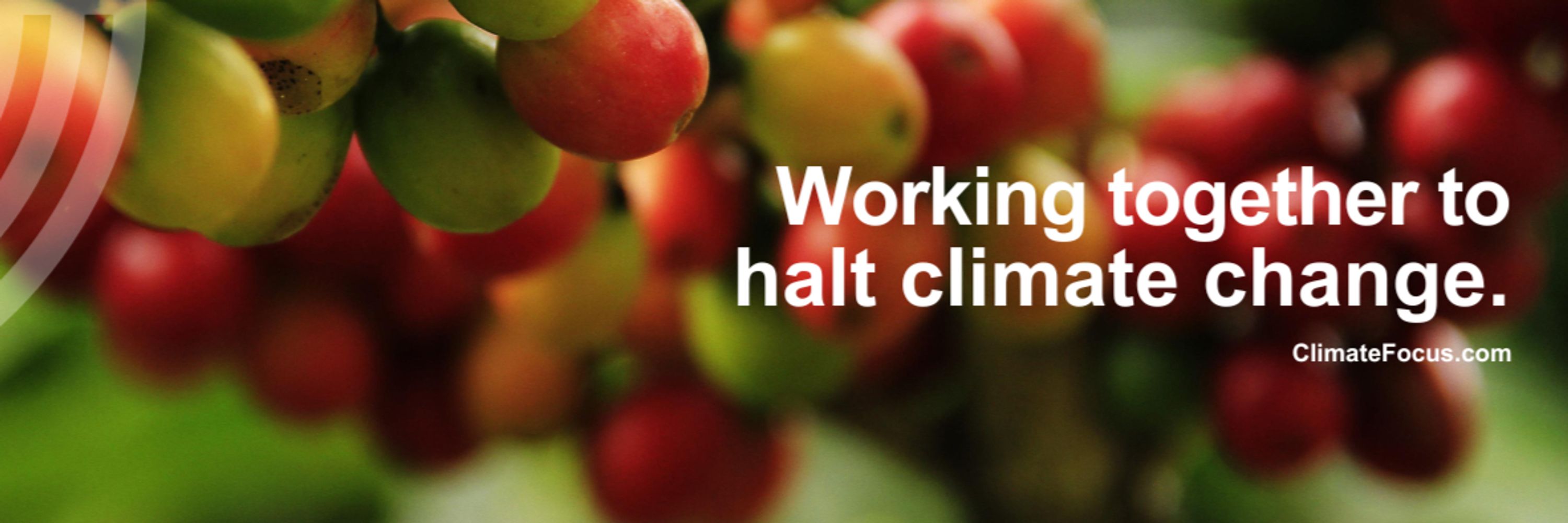 Climate Focus