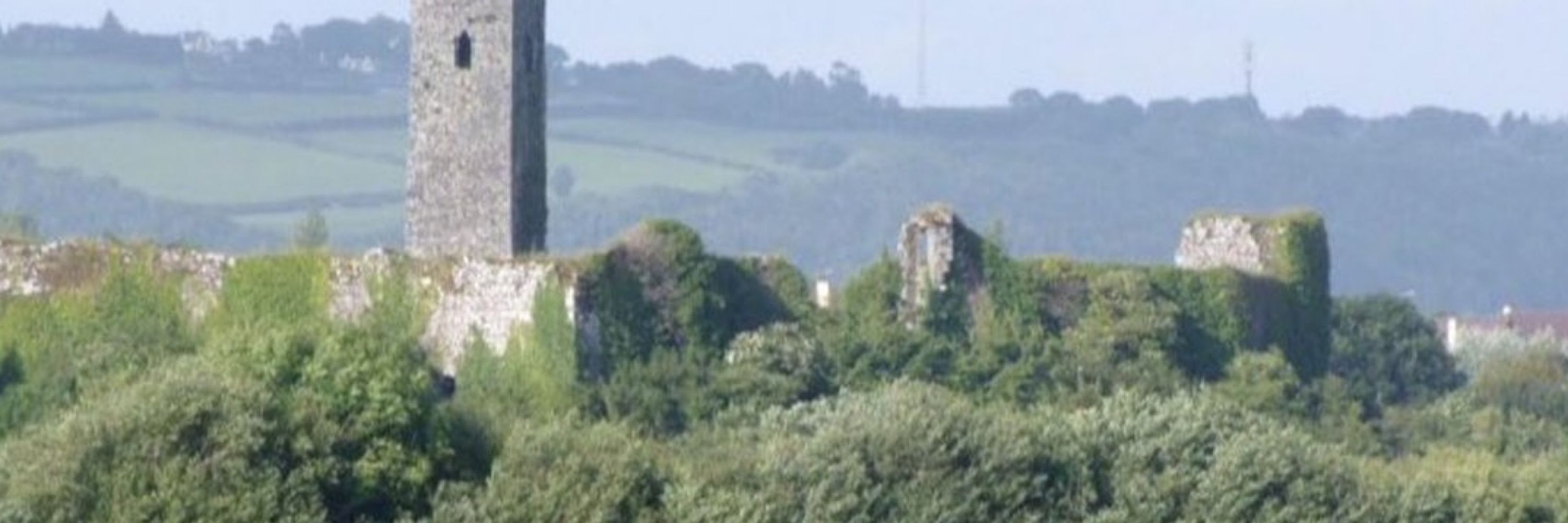 Diarmuid Twomey 