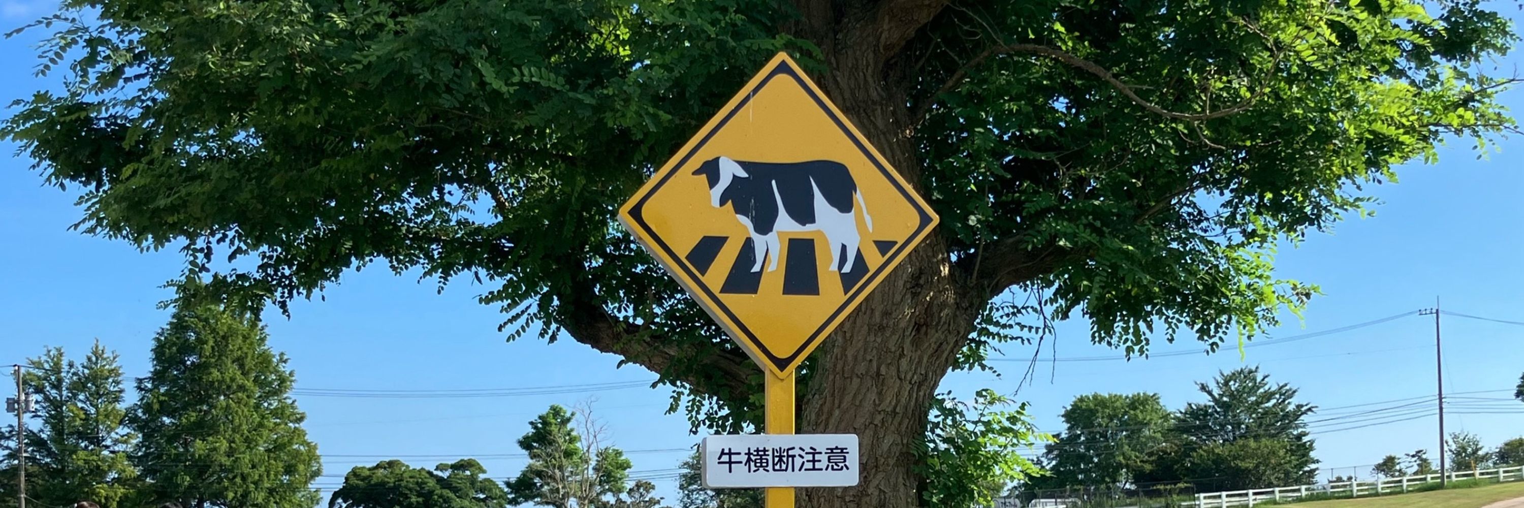 年間休日72日