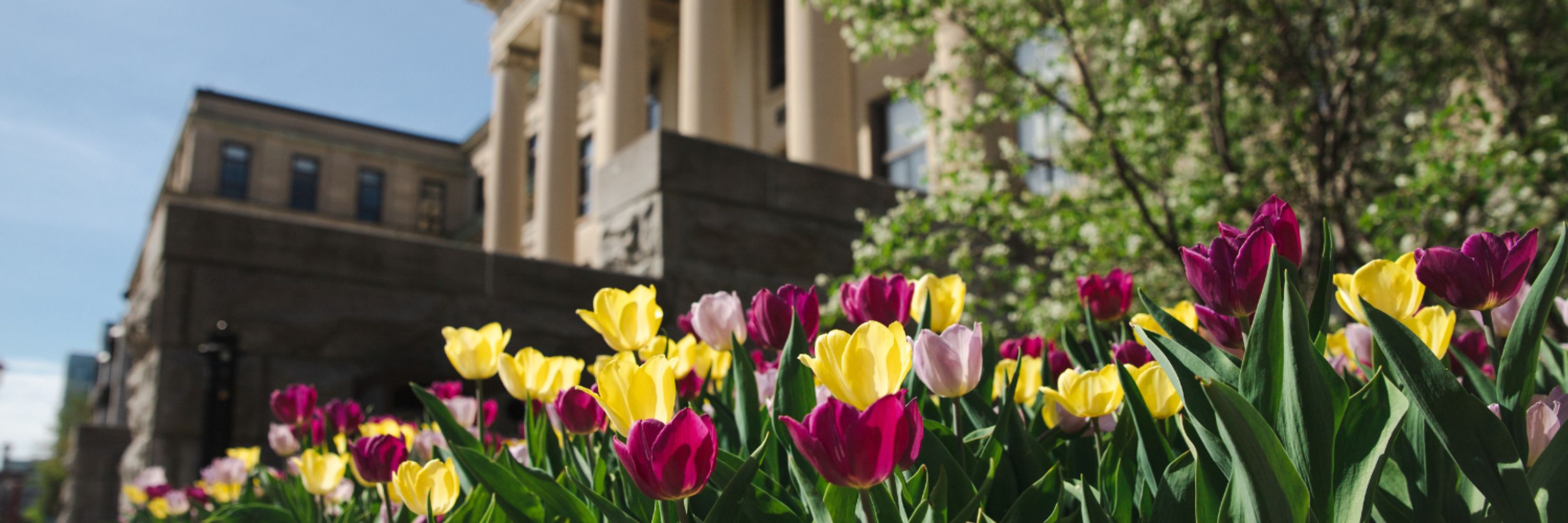 uOttawa