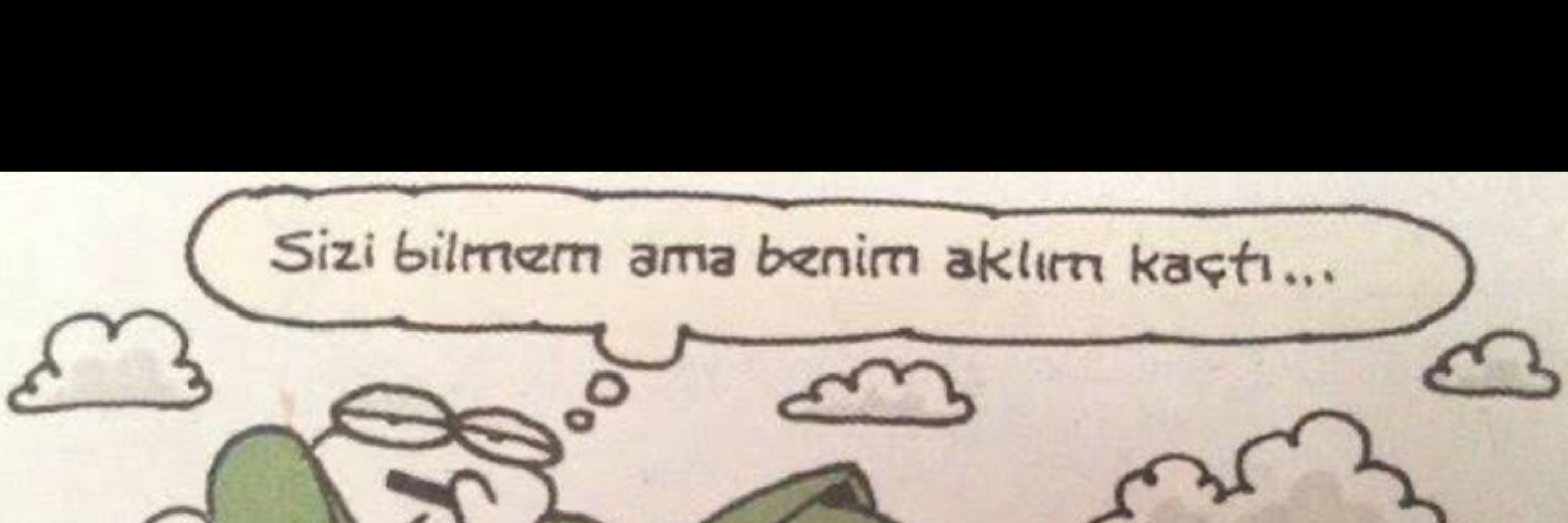 gönüllü ayran