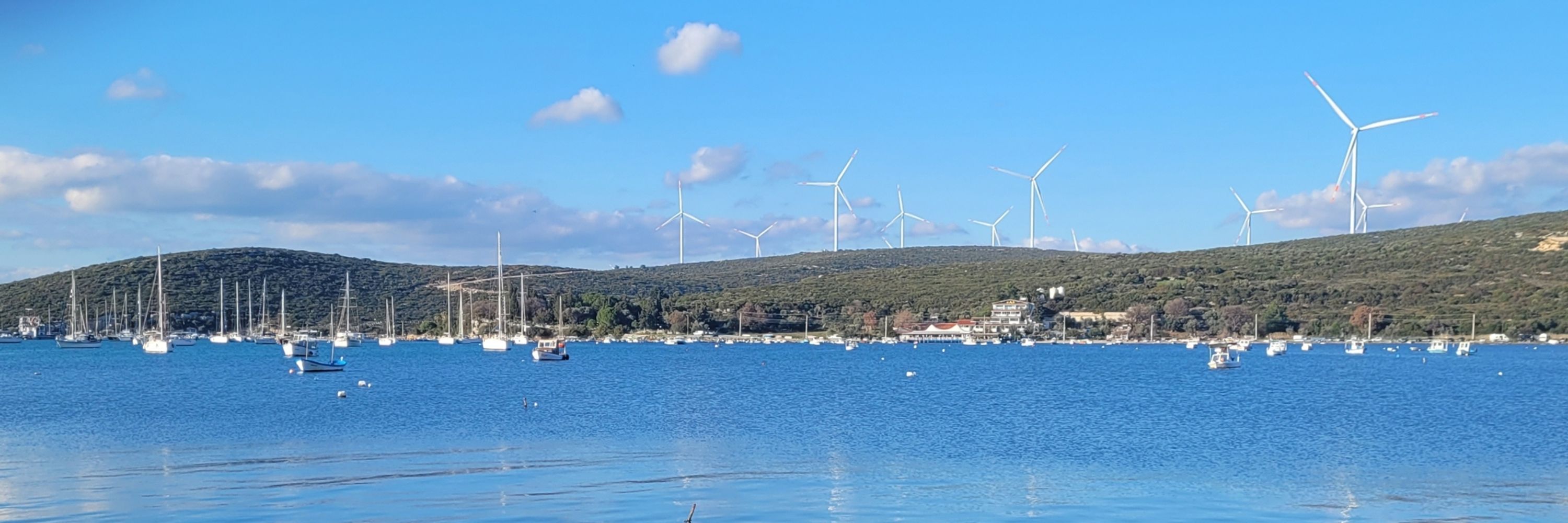 Akkız