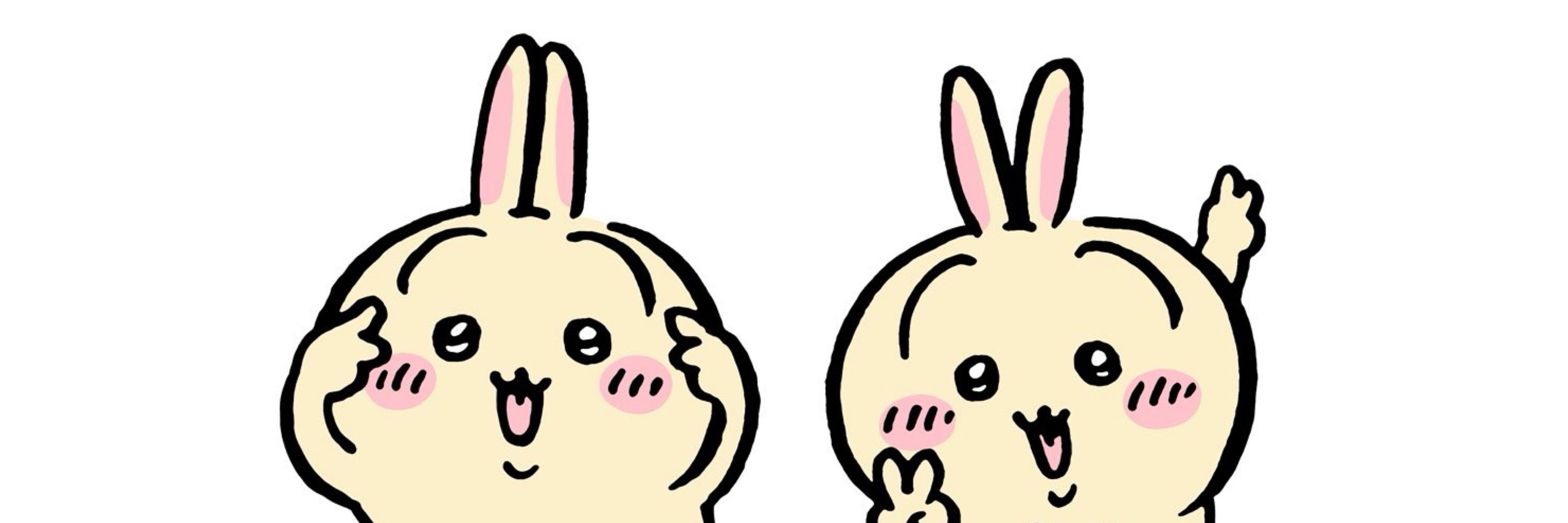R貓