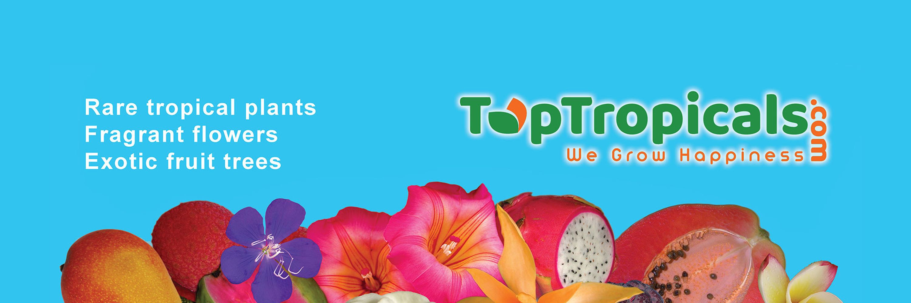 Top Tropicals Garden Plants