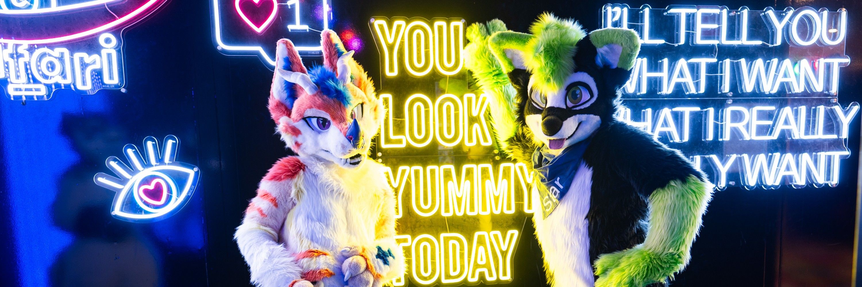 StarFoxCoon VACON Design
