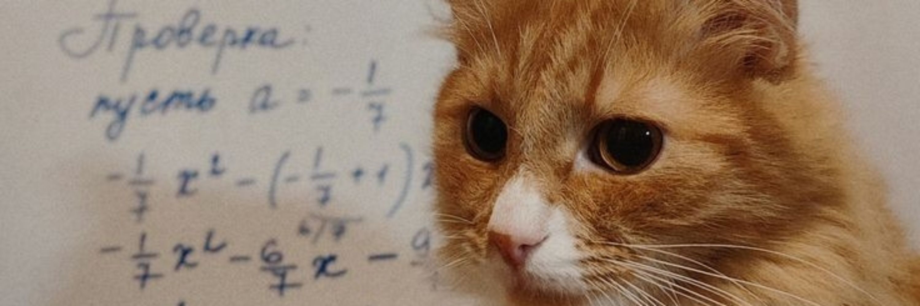 Fibonacci