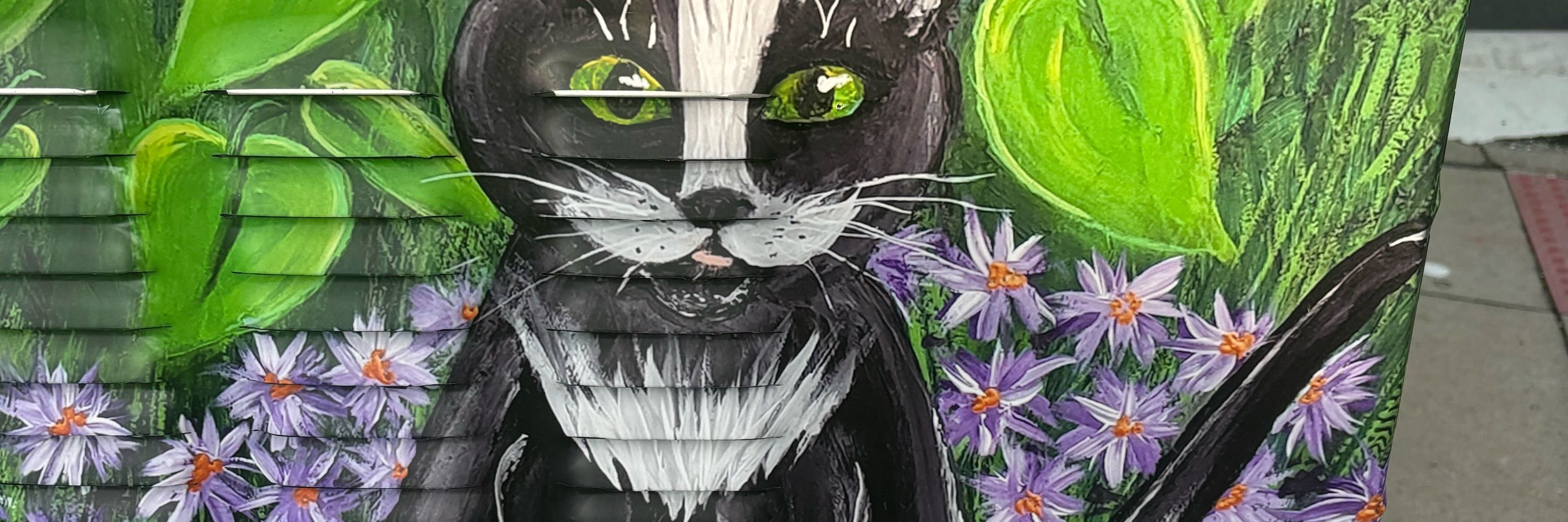 Ryyyyy🐈‍⬛🐈‍⬛