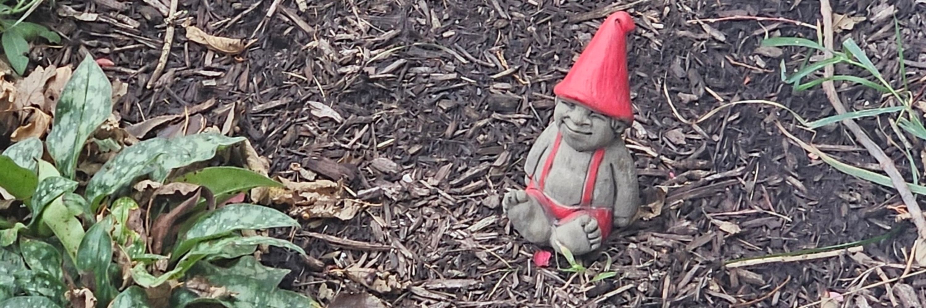 Chi-Town Gnome