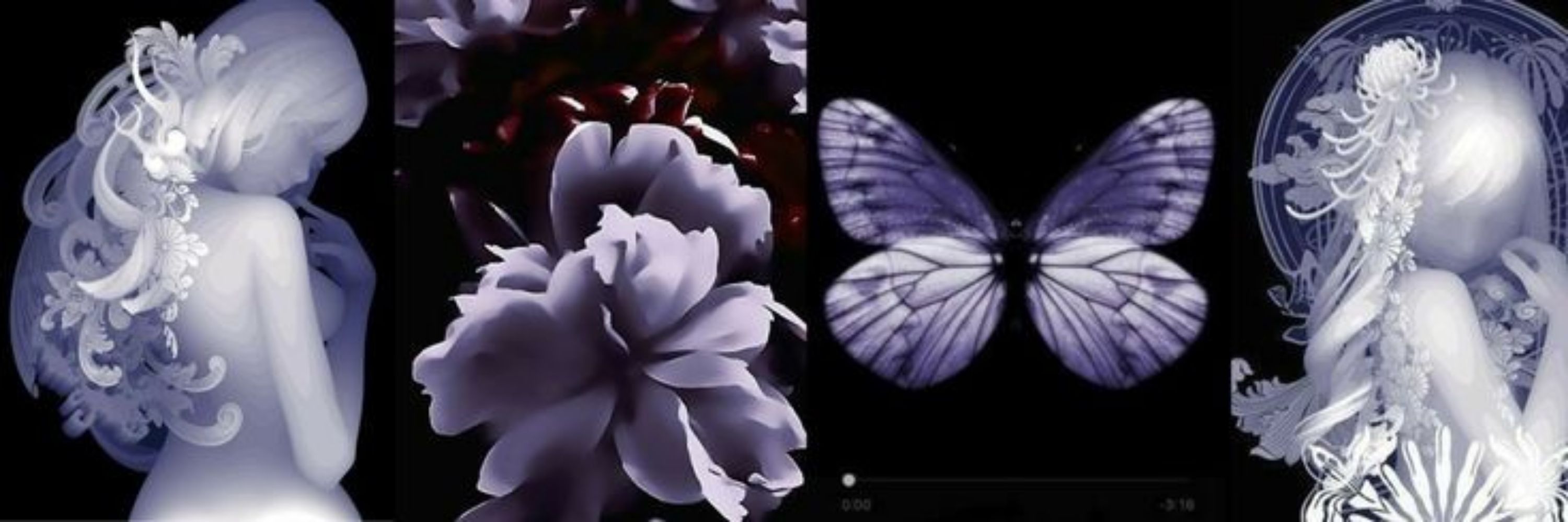 lily