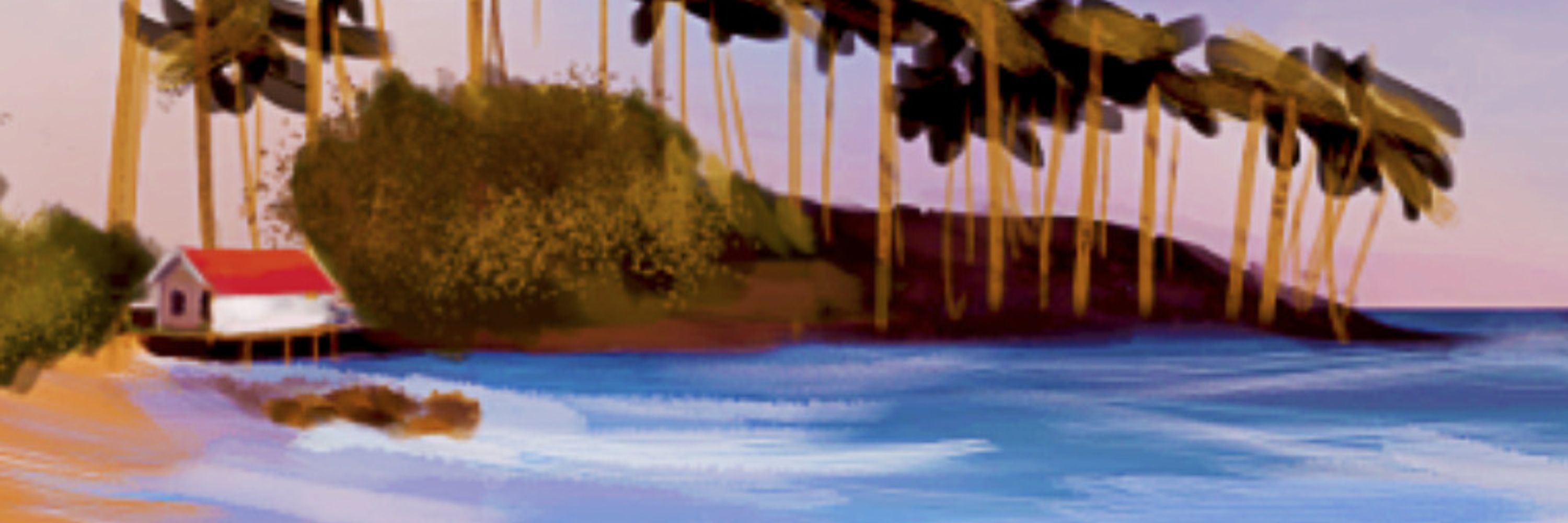 Surfer