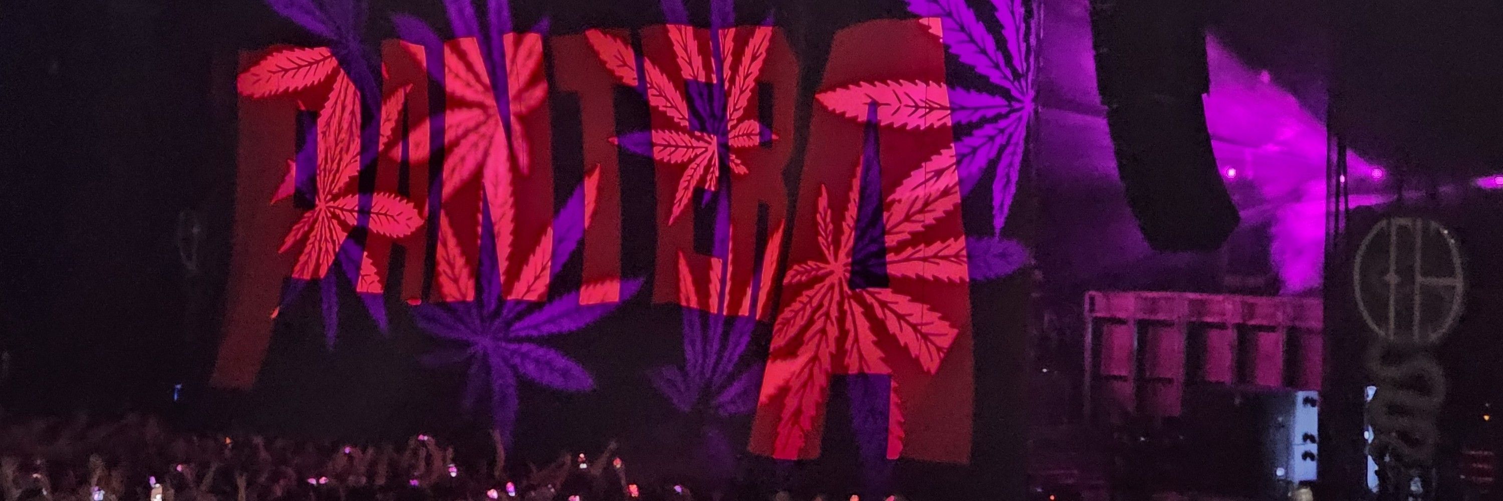 Shady