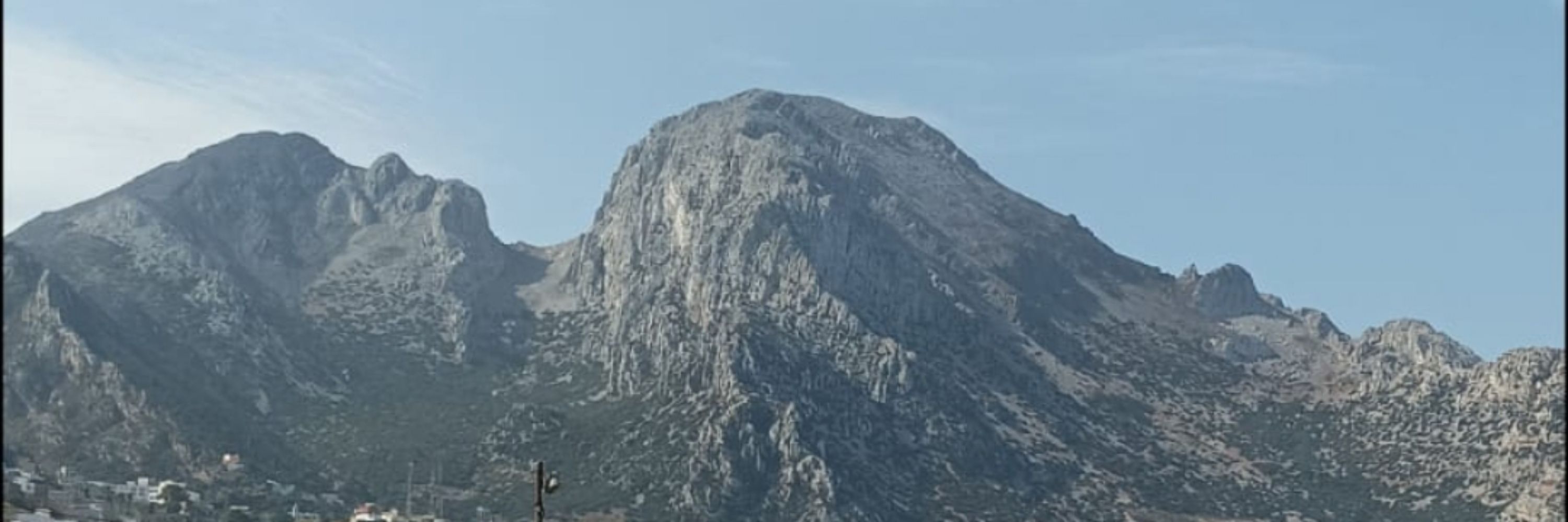 Alberto Moya