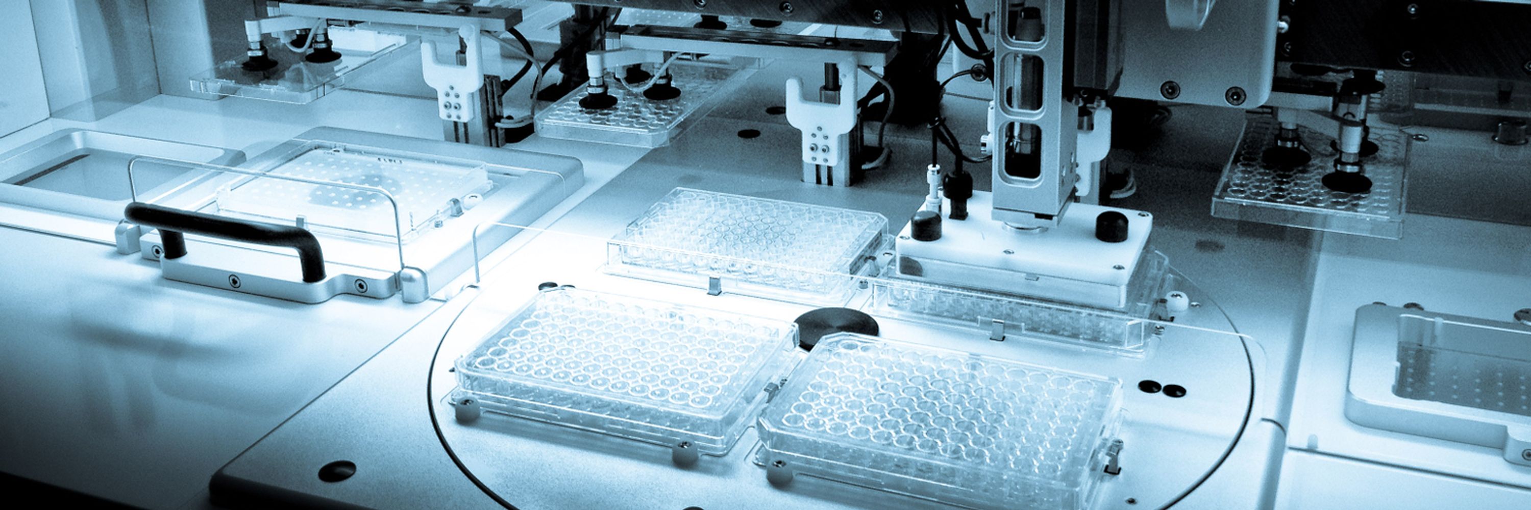 The Braun Lab